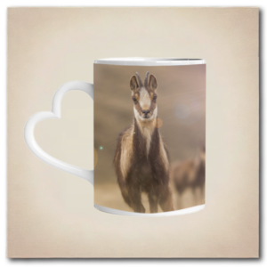 Mug amoureux