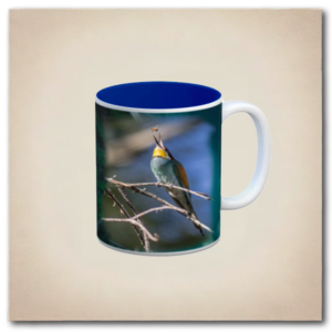 Mug coloré